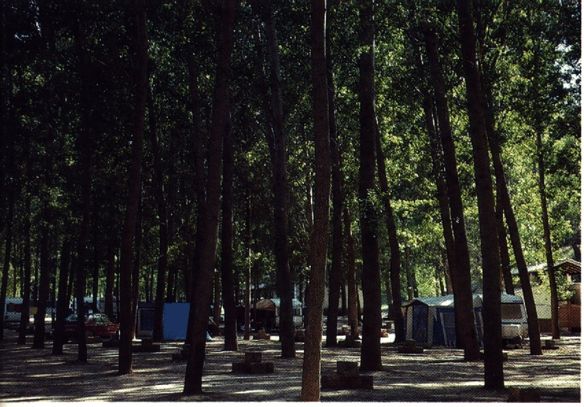 Camping en Sierra de Cazorla